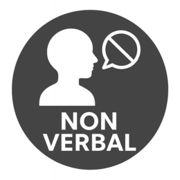 NON VERBAL trademark