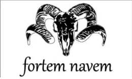 FORTEM NAVEM trademark