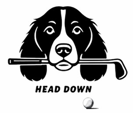 HEAD DOWN trademark