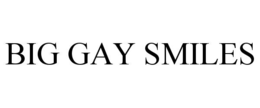 BIG GAY SMILES trademark