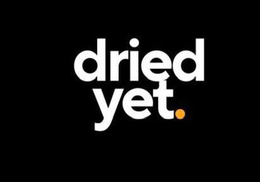 DRIED YET trademark