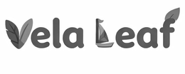 VELA LEAF trademark