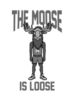 THE MOOSE IS LOOSE 14 trademark