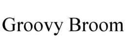 GROOVY BROOM trademark