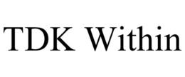 TDK WITHIN trademark