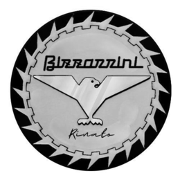 BIZZARRINI RINATO trademark