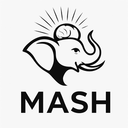 MASH trademark
