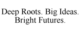 DEEP ROOTS. BIG IDEAS. BRIGHT FUTURES. trademark