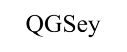QGSEY trademark
