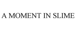 A MOMENT IN SLIME trademark
