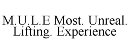 M.U.L.E MOST. UNREAL. LIFTING. EXPERIENCE trademark