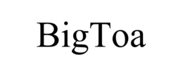 BIGTOA trademark
