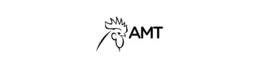 AMT trademark