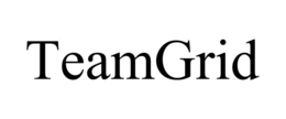 TEAMGRID trademark