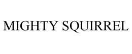 MIGHTY SQUIRREL trademark