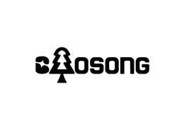 BAOSONG trademark