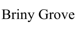 BRINY GROVE trademark