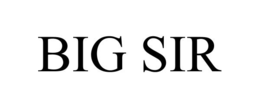 BIG SIR trademark
