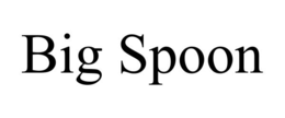 BIG SPOON trademark