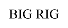 BIG RIG trademark