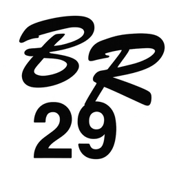 BR 29 trademark