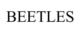 BEETLES trademark