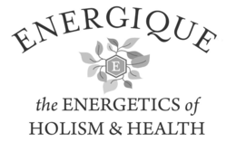 E ENERGIQUE THE ENERGETICS OF HOLISM & HEALTH trademark