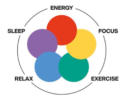 ENERGY FOCUS EXERCISE RELAX SLEEP trademark