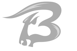 B trademark