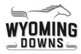 WYOMING DOWNS trademark