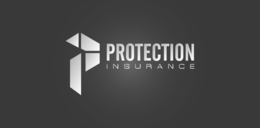 P PROTECTION INSURANCE trademark