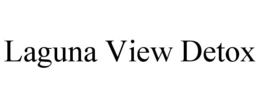 LAGUNA VIEW DETOX trademark