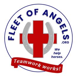 FLEET OF ANGELS .ORG TEAMWORK WORKS! WE HELP HORSES. trademark