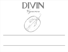 DIVIN VIGNERON trademark