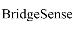 BRIDGESENSE trademark