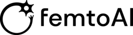 FEMTO AI trademark