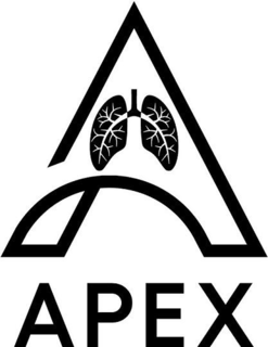 A APEX trademark
