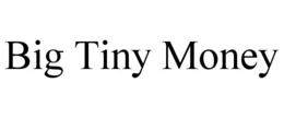 BIG TINY MONEY trademark