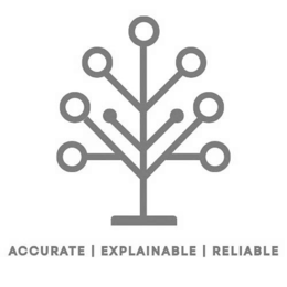 ACCURATE I EXPLAINABLE I RELIABLE trademark