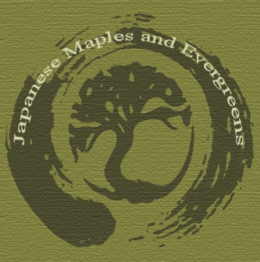 JAPANESE MAPLES AND EVERGREENS trademark