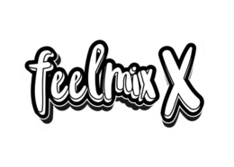 FEELMIX X trademark