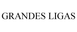 GRANDES LIGAS trademark