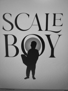 SCALE BOY trademark
