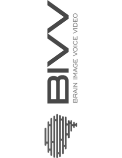 BIVV BRAIN IMAGE VOICE VIDEO trademark
