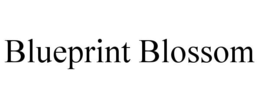BLUEPRINT BLOSSOM trademark