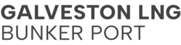 GALVESTON LNG BUNKER PORT trademark