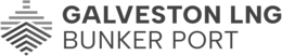 GALVESTON LNG BUNKER PORT trademark