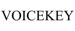 VOICEKEY trademark