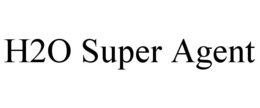 H2O SUPER AGENT trademark