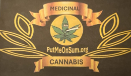 MEDICINAL CANNABIS PUTMEONSUM.ORG trademark